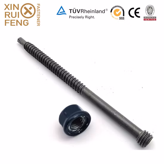 Duplex 2205 Elementi di fissaggio Torx Pan Head Vite autoperforante Anti